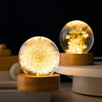 Floralis Crystal Ball Lamp | 3D Flower Design | Dandelion & Daisy | USB Wooden Base