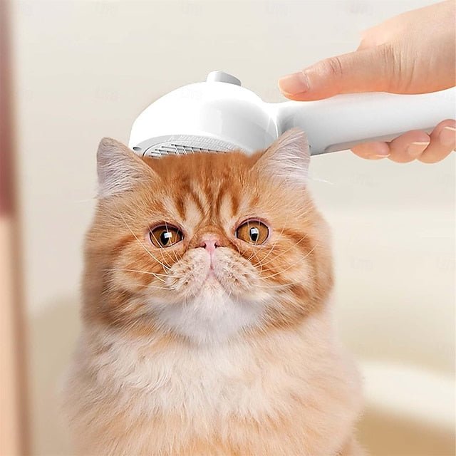 PetGlow | Experience the radiant softness