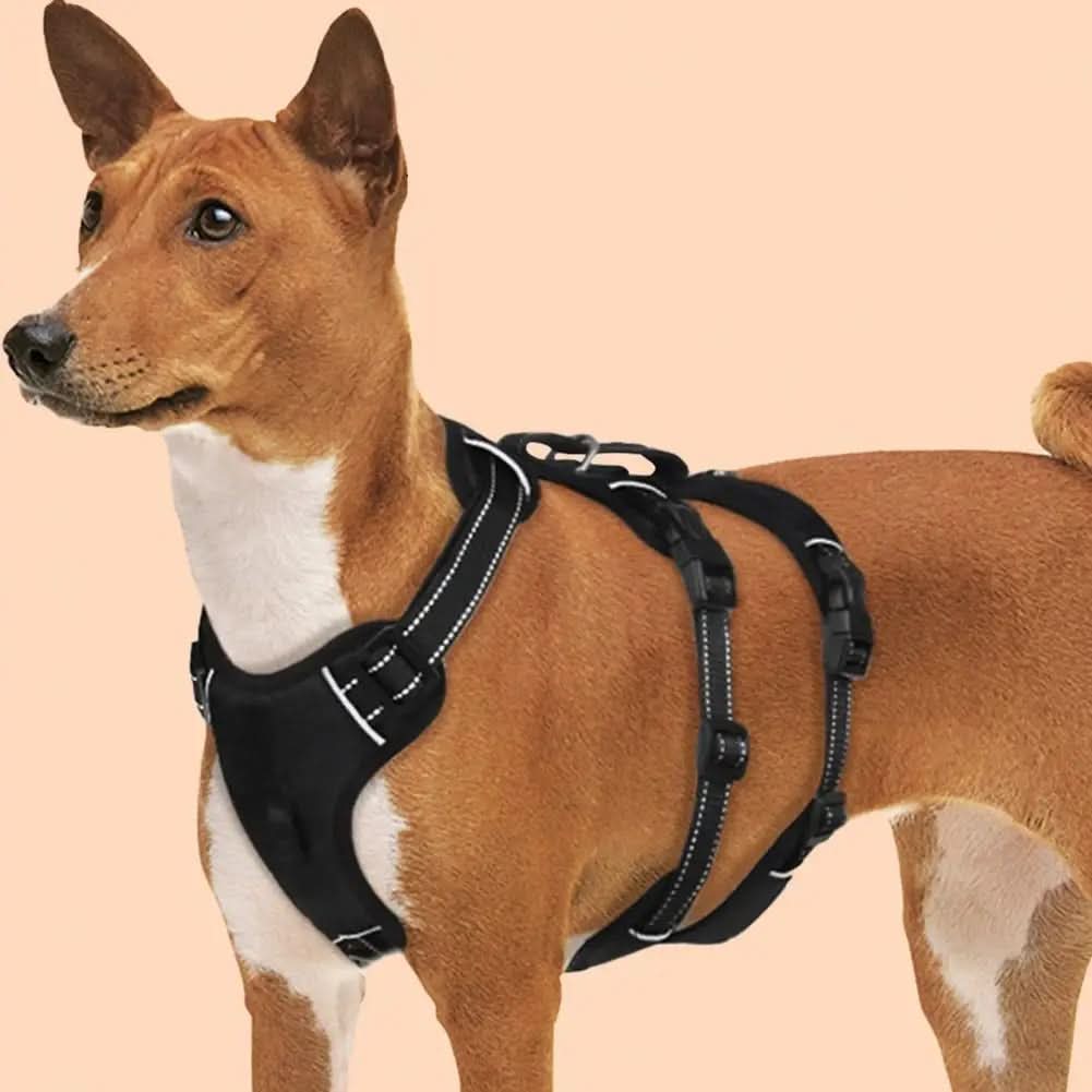 Reflective & escape-proof for relaxed walks