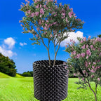 Root control device for plants and landscaping to promote healthy growth