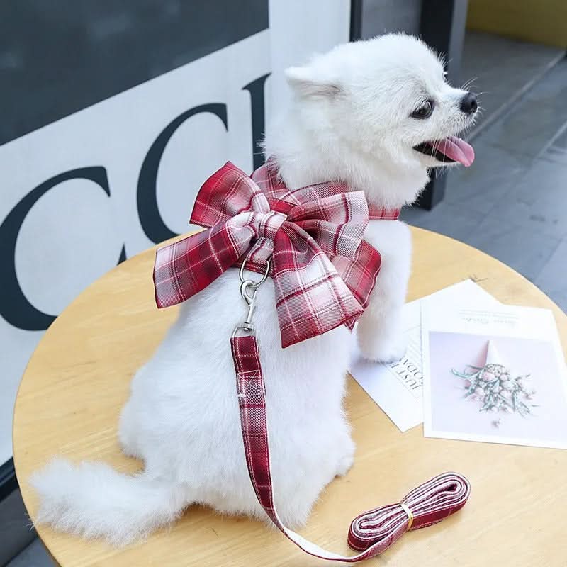 Adjustable Dog Harness with Elegant Bow for Stylish Walks
