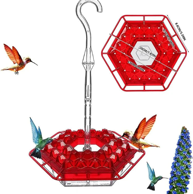 KolibriKracher — Create a vibrant bird paradise right in your garden!
