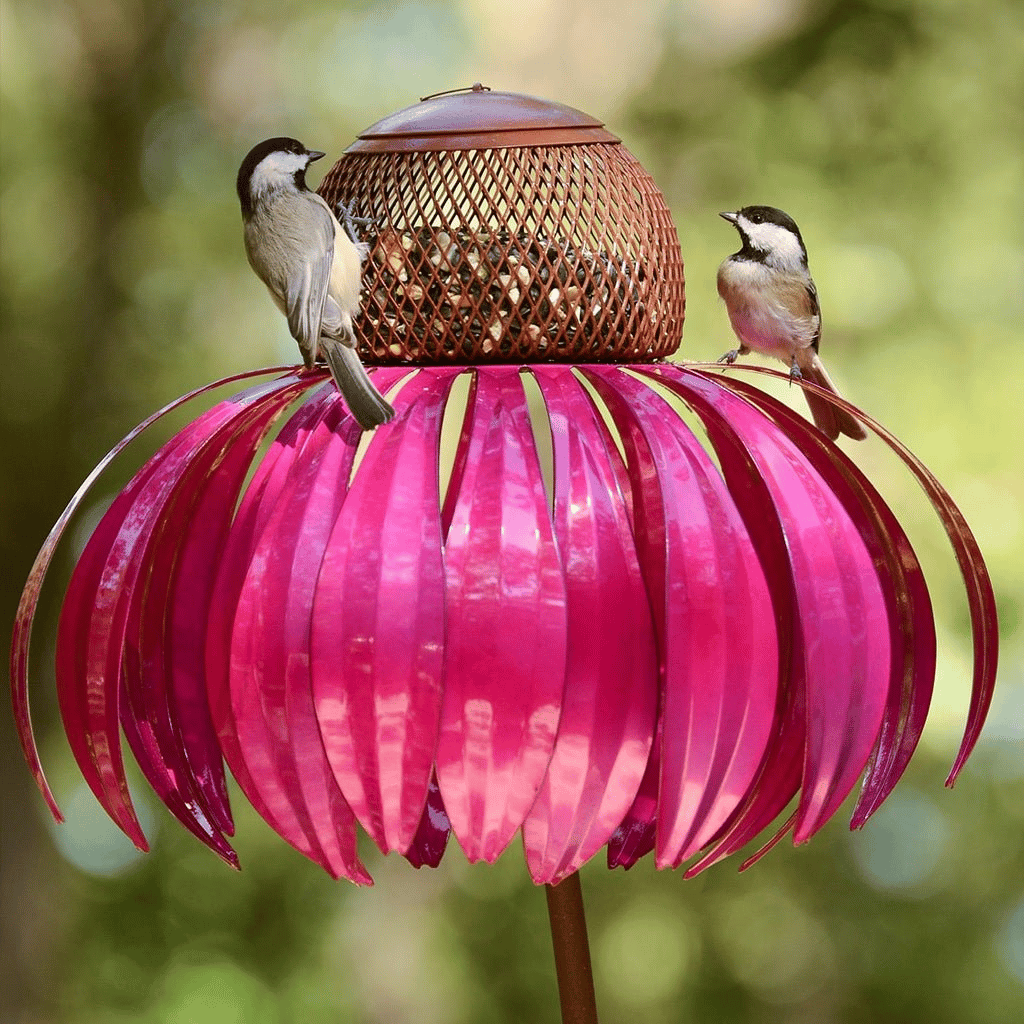 FloraNest Bird Feeder | Enjoy free Coneflowers for a colorful garden