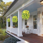 UV Resistant Hanging Morning Glory