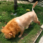 Dog Realistic Lion Mane Halloween Costume | Adjustable Lightweight