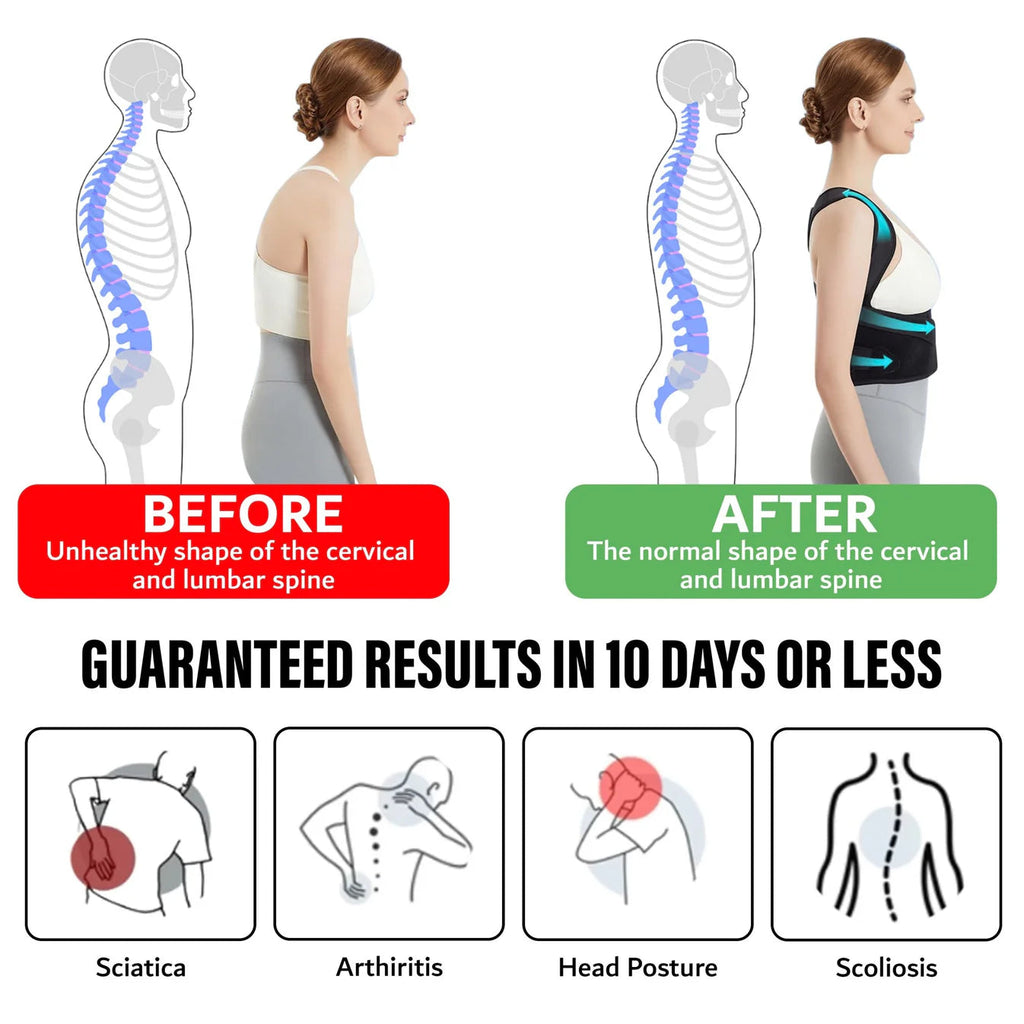 SpineForce — free your back and conquer every day pain-free and full of power!
