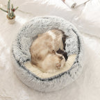 Snugpaws™ - Comfort for Your Pet's Recovery
