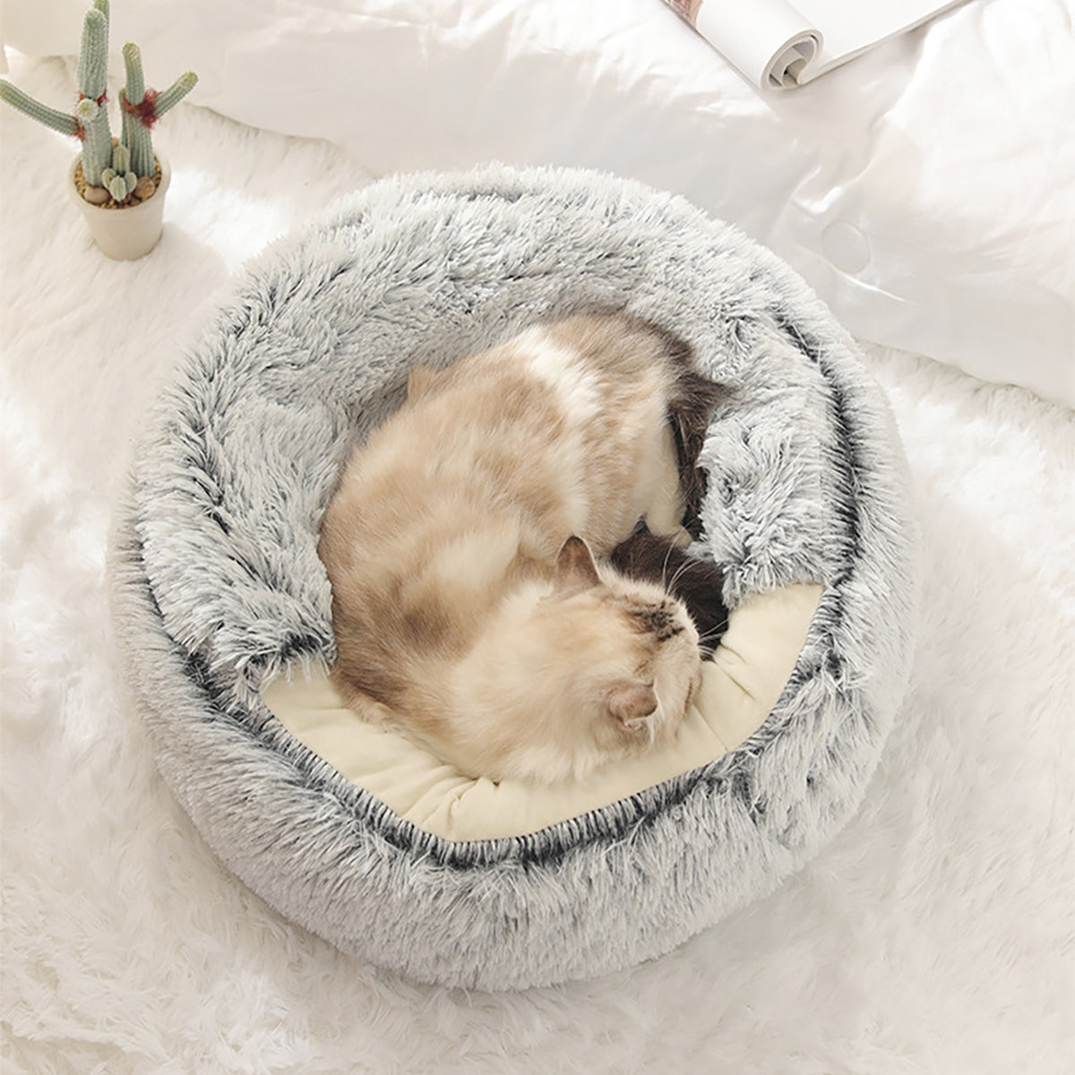 ComfyPaws Dreamy Pet Retreat