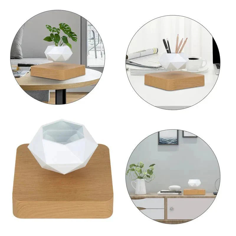 Anti-gravity plants - Astonish your space - Nature reinvented