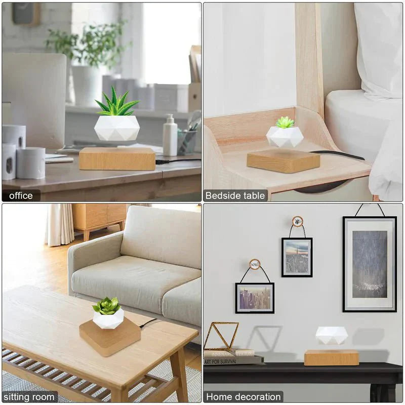 Anti-gravity plants - Astonish your space - Nature reinvented