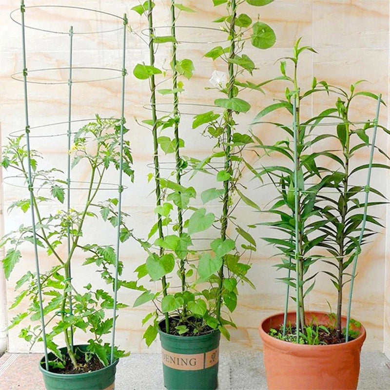 Climbing frame for plants – Sturdy support ring frame for climbing plants
