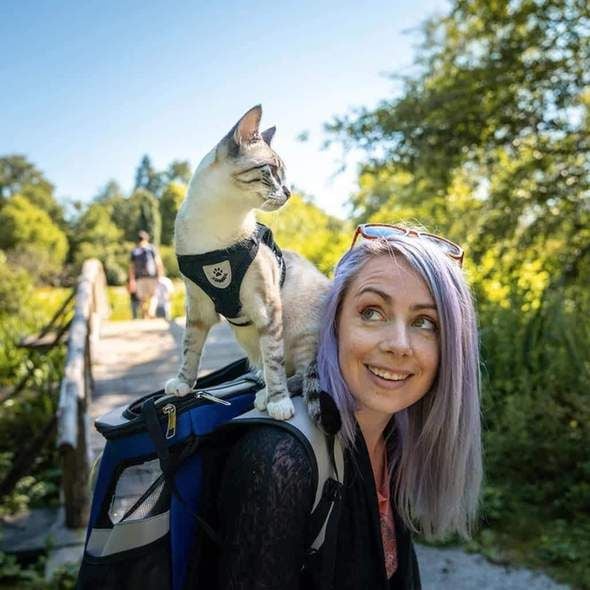 Reflective Cat Harness and Leash Set with Adjustable Straps for Safe Night Adventures – Comfortable Fit for Cats and Kittens