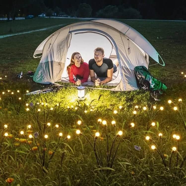 Solar Butterfly LED Garden Light with 3 Light Modes and IP65 Rating