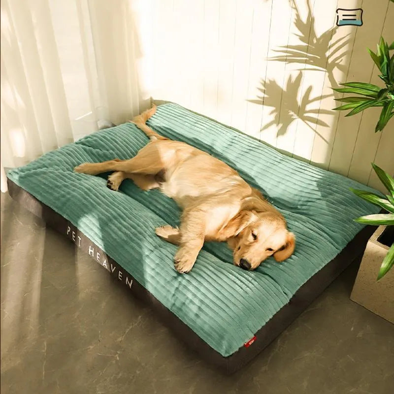 DreamRest Orthopedic Dog Bed – Fluffy, Supportive & Washable Comfort