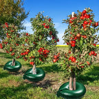 Tree Watering Bag with Drip Irrigation – Effective Irrigation Solution for Trees and Shrubs