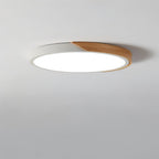 Modern LED Ceiling Light - Minimalist Lighting for Your Interior