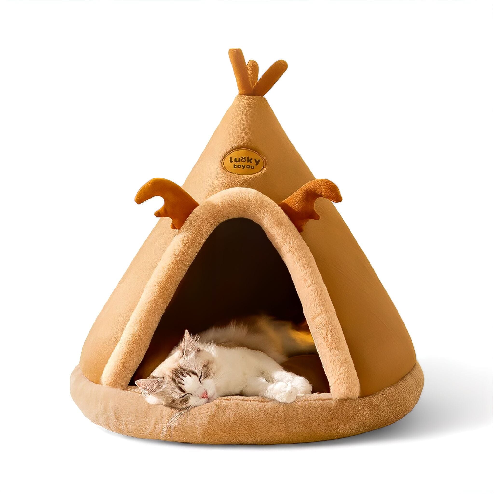 Pod