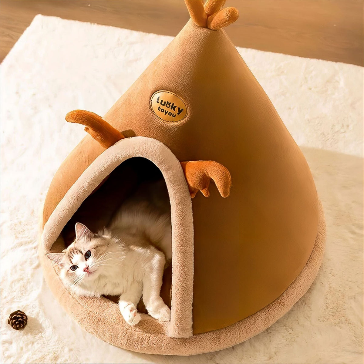 Pod