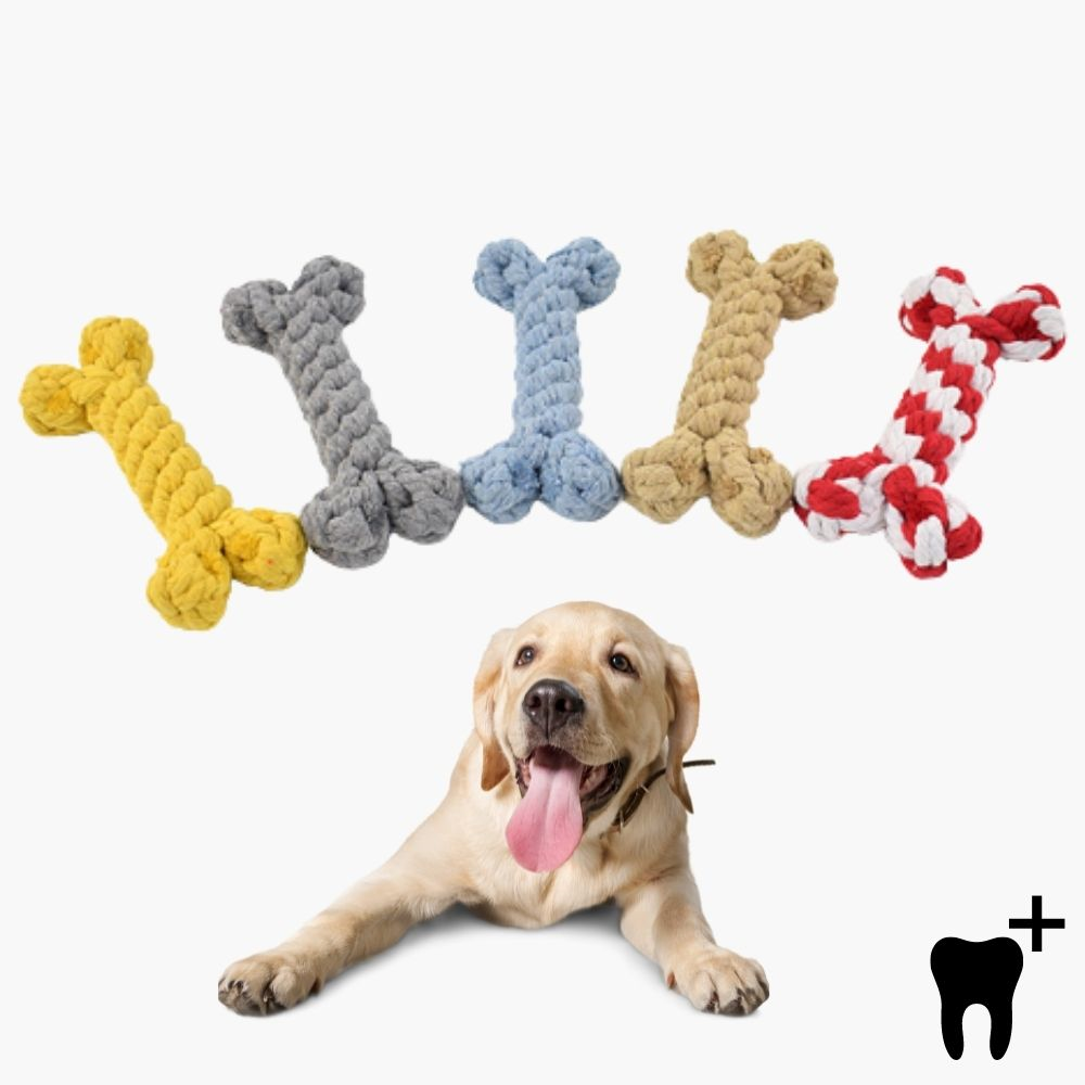 Dental Care Chew Bone for Dogs - CleanChew