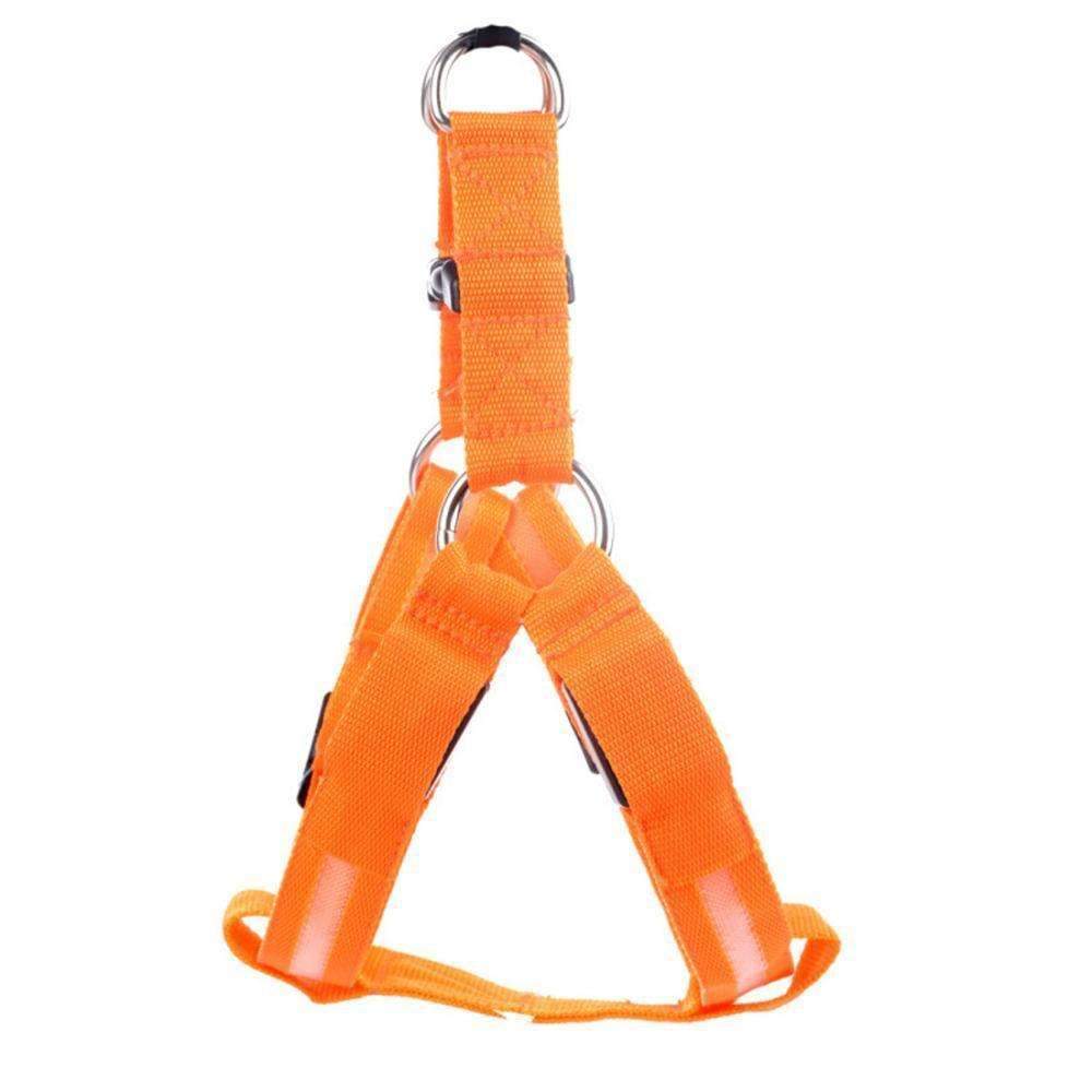 High-Quality Collar Dog - Without Any Fear of Missing Your Beloved Pet Dog!