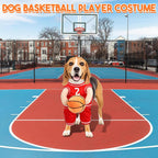 PawChic Luxe Dog Basketball Set | Stylish outfit with matching ball for active pups