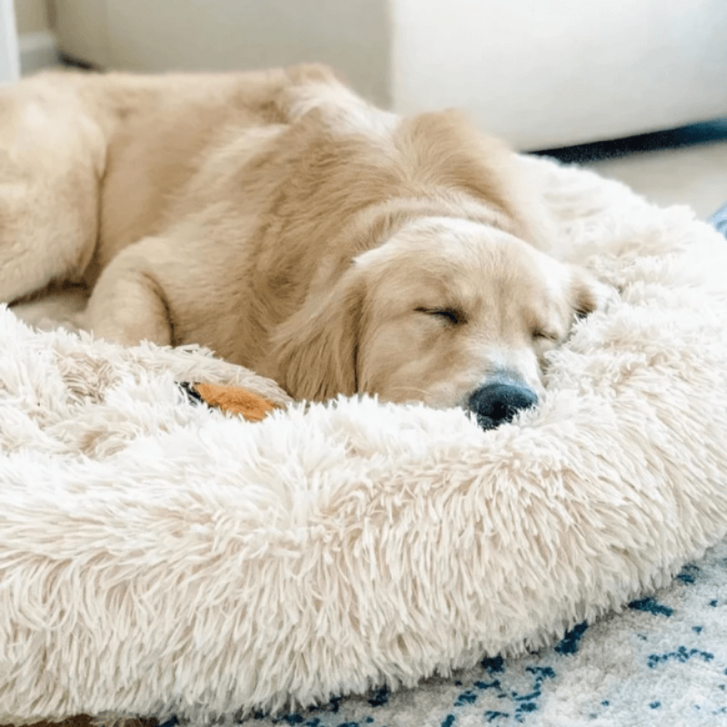 Beef Plush Calming Donut Dog Bed for Small to Large Dogs