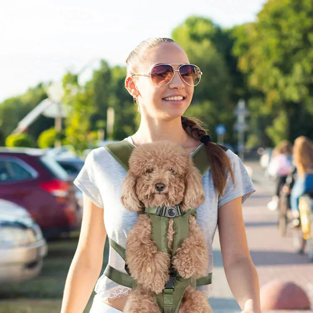 Petcarry - Handsfree Dog Carrier Backpack for Comfortable Travel & Easy Mobility