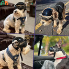 Dog Helmet and Goggles - RiderPaw
