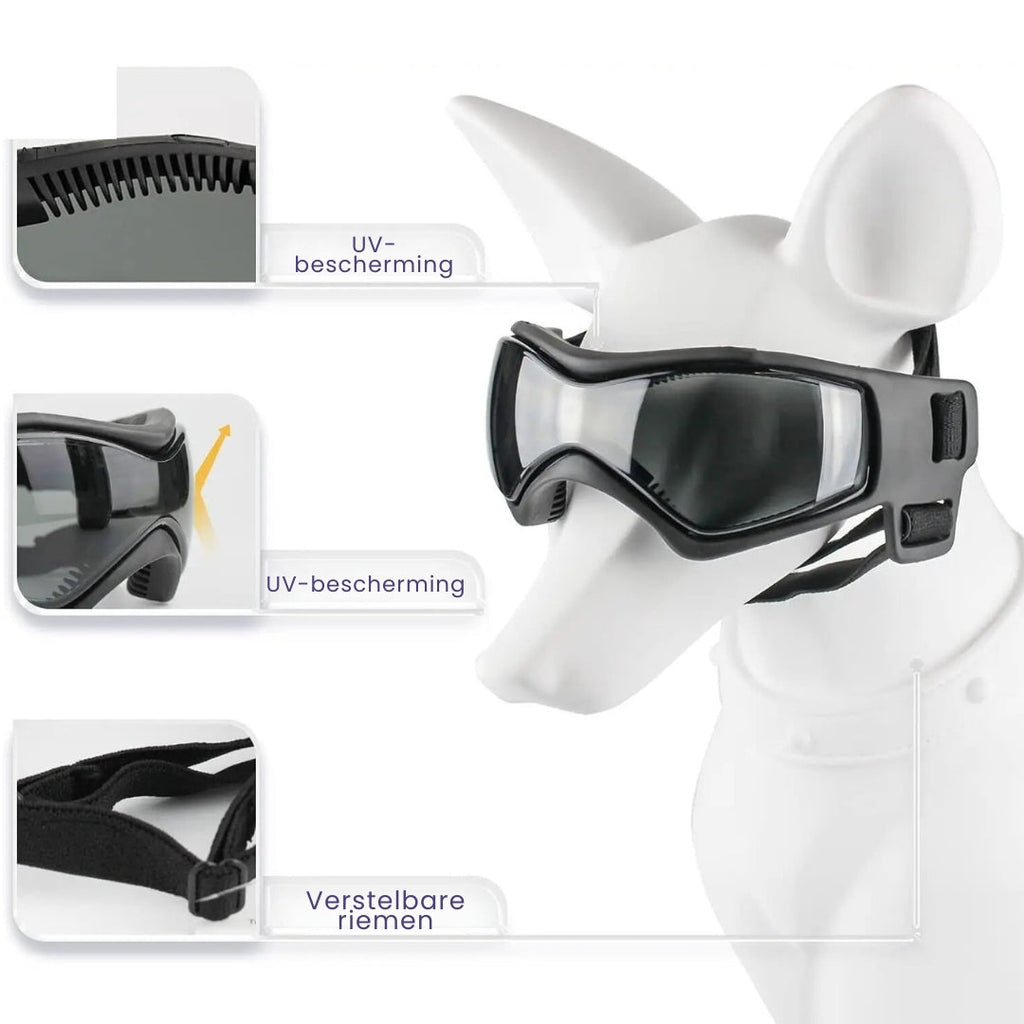 Dog Helmet and Goggles - RiderPaw