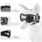 Dog Helmet and Goggles - RiderPaw