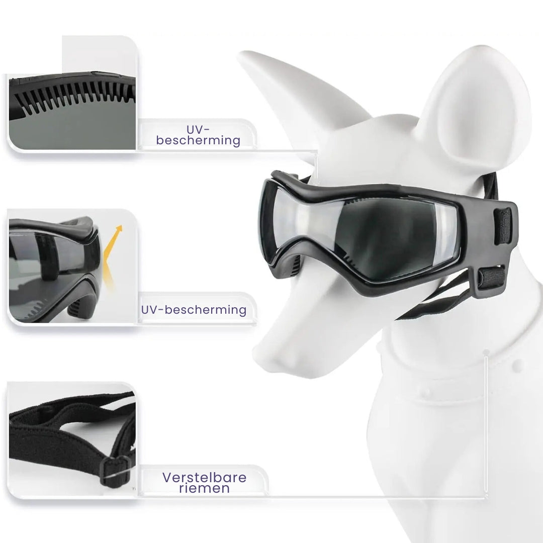 Dog Helmet and Goggles - RiderPaw