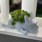 Dog Resin Succulent Planter - Buddy