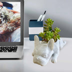Dog Resin Succulent Planter - Buddy