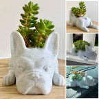 Dog Resin Succulent Planter - Buddy