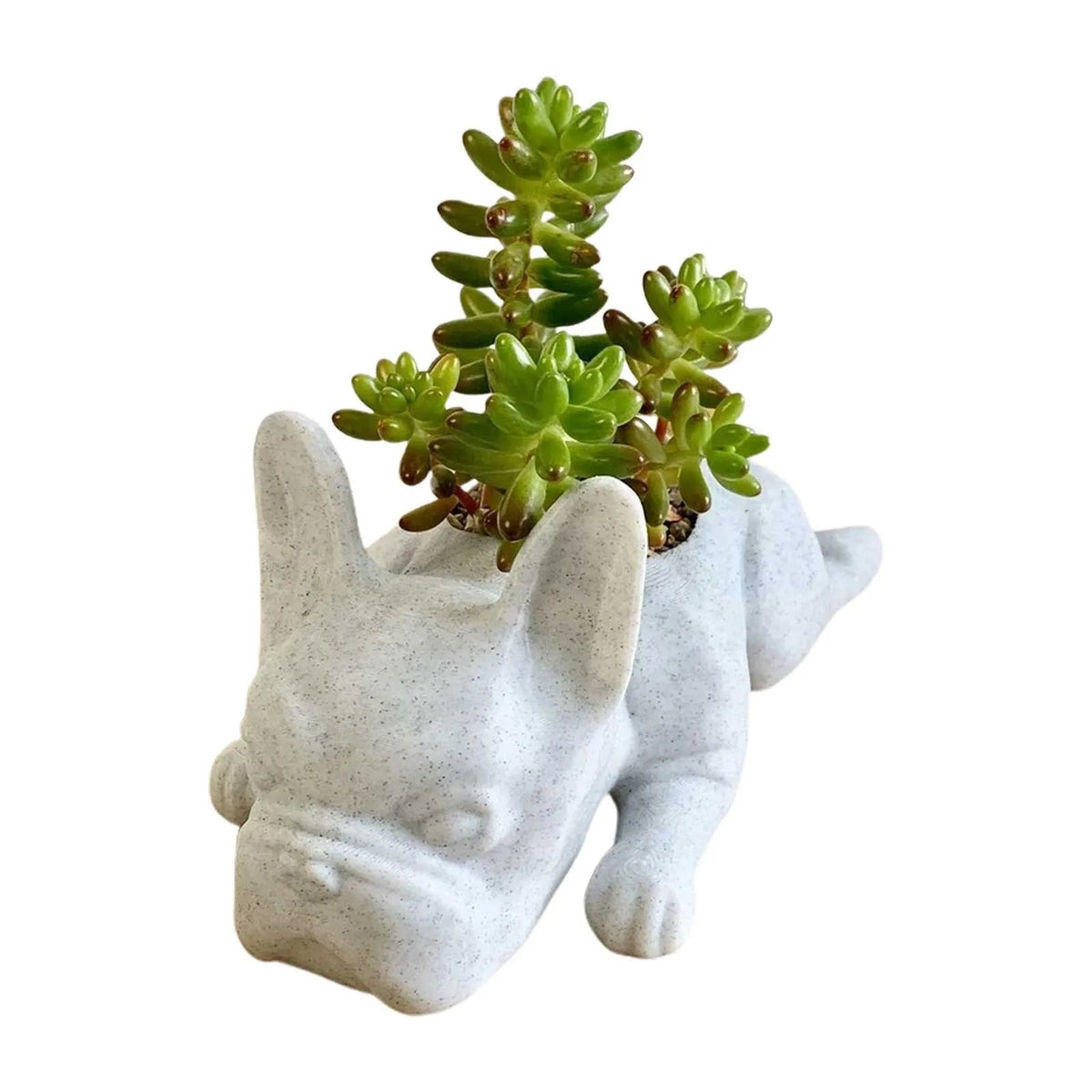 Dog Resin Succulent Planter - Buddy