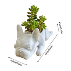 Dog Resin Succulent Planter - Buddy