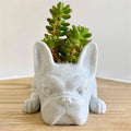 Dog Resin Succulent Planter - Buddy