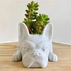 Dog Resin Succulent Planter - Buddy