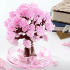 Make your garden bloom - Grow your sakura tree!