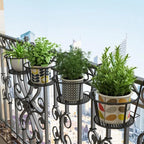 Transform your balcony - Hanging plants - Botanical getaway
