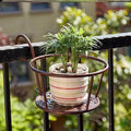 Transform your balcony - Hanging plants - Botanical getaway
