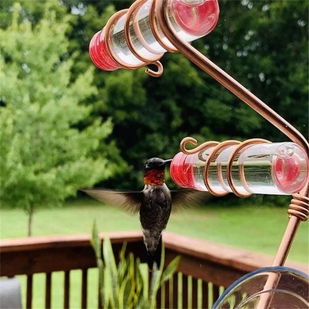 Window Nectar - See the birds up close - Wonder guaranteed