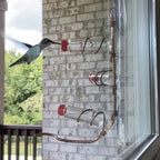 Window Nectar - See the birds up close - Wonder guaranteed