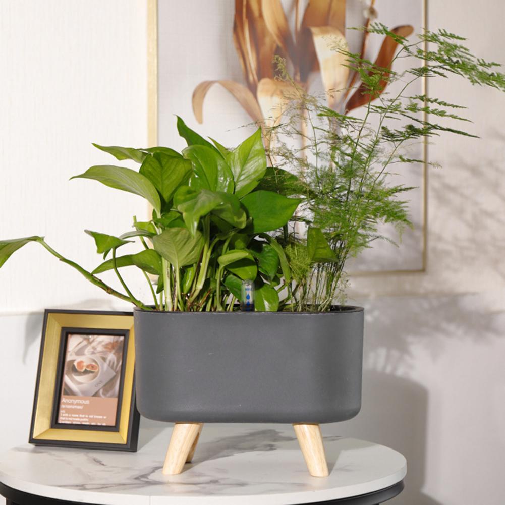 Self-watering Flower Pot