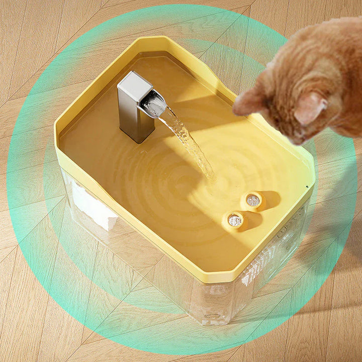 Automatic water dispenser for pets