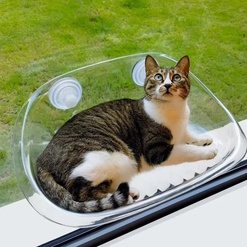 Cat-Safe-Hammock | The ultimate comfort for your cat