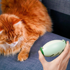 Sticky reusable pet hair remover | Mini, eco-friendly & effective