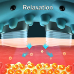 4-in-1-Relief Massager | Correct Posture and Easily Alleviate Muscle Tension