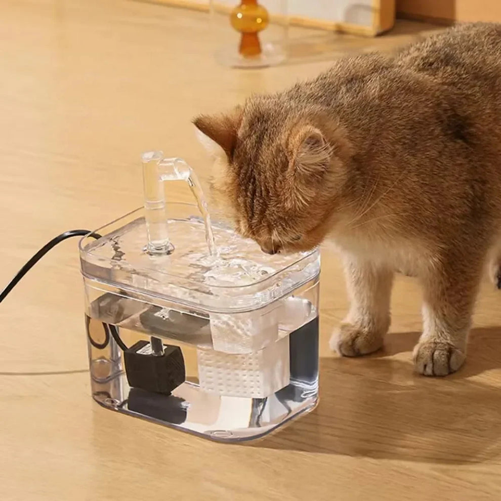 Automatic water fountain for pets | Clean, continuous water for your furry friend