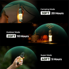 2-in-1 Mosquito Protection & Light | Intelligent Outdoor Defense